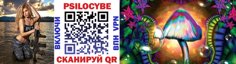 Купить где  Красноярск  Псилоцибиновые грибы Psilocybine cubensis 